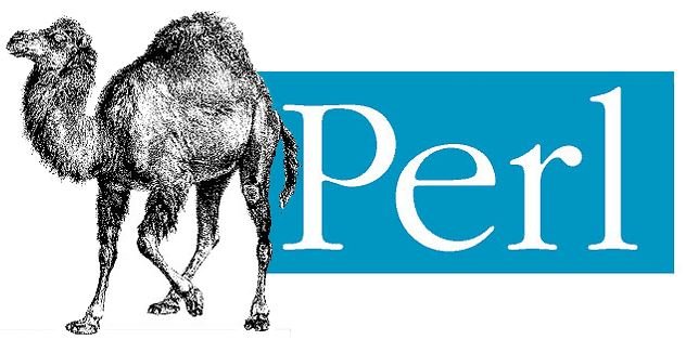 Perl Script zum abfragen der HDD Temperatur mittels SMART 1 Perl - Camel Logo