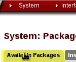 pfSense - verfügbare Pakete