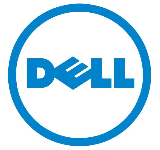 Flash Dell Perc H310 mit LSI 9211-8i IT Mode 1 Dell Logo