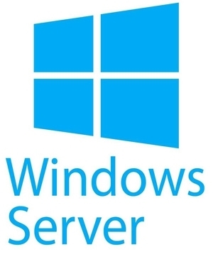 Windows Server Logo