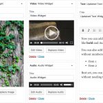 WordPress 4.8 Widgets