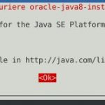 Debian Stretch Oracle Java 8 Lizenz