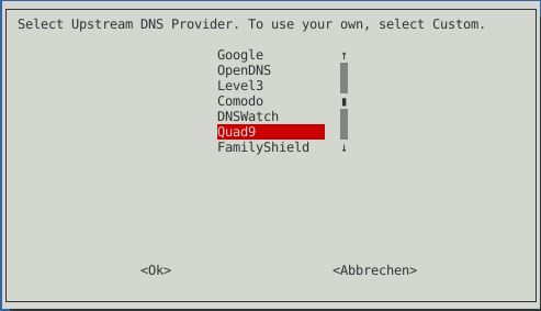 Pi-hole auf Proxmox Debian KVM installieren 4 Pi-hole Installer DNS Provider