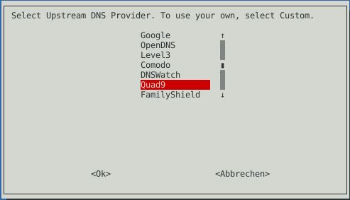 Pi-hole Installer DNS Provider