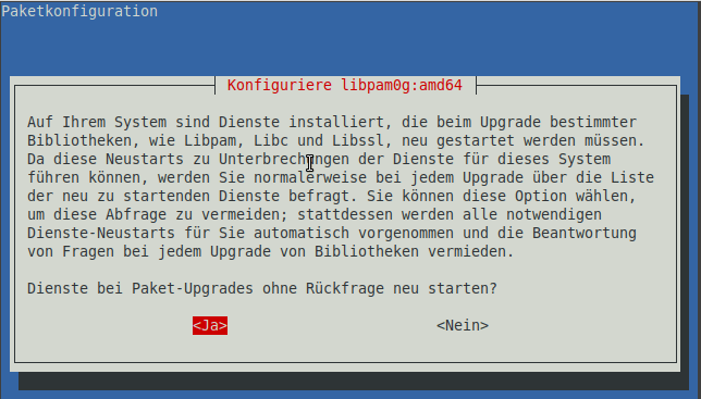 Linux Mint - Upgrade Paketkonfiguration