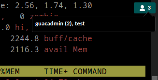 Apache Guacamole 1.5.0 veröffentlicht 8 Guacamole 1-5.0 - Session Tooltip