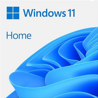 amazon windows 11 home lizenz